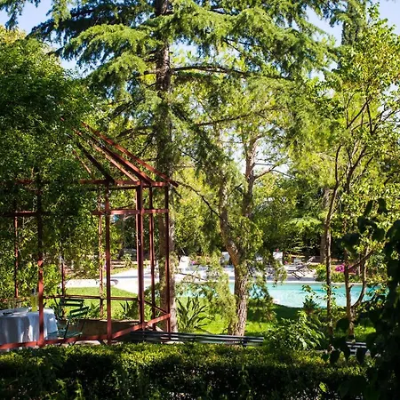 Rosa Конверсано